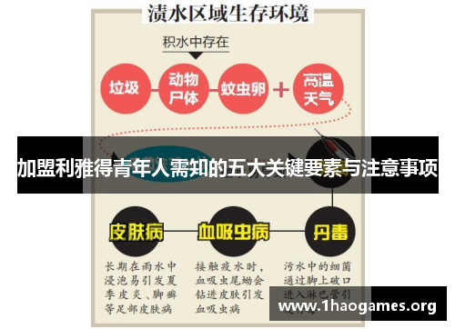 加盟利雅得青年人需知的五大关键要素与注意事项 加盟利雅得青年人需知的五大关键要素与注意事项