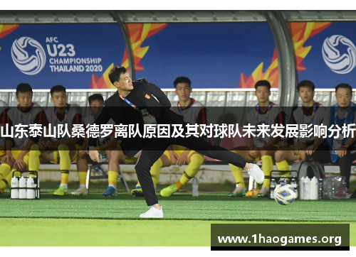 山东泰山队桑德罗离队原因及其对球队未来发展影响分析 山东泰山队桑德罗离队原因及其对球队未来发展影响分析
