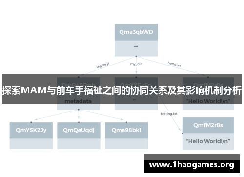 探索MAM与前车手福祉之间的协同关系及其影响机制分析 探索MAM与前车手福祉之间的协同关系及其影响机制分析