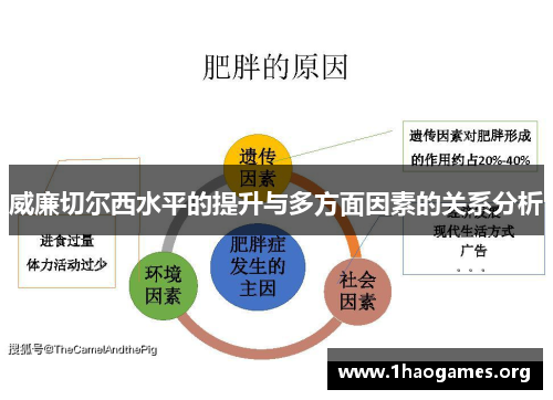 威廉切尔西水平的提升与多方面因素的关系分析 威廉切尔西水平的提升与多方面因素的关系分析